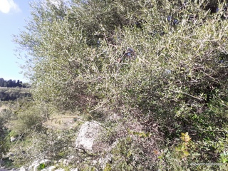 traro-30-12-2021 11-56-36